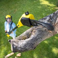 Lawn Pest Prevention in Rutgers University Livingston Campus, NJ